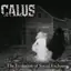 Calus - The Evolution of Social Exclusion